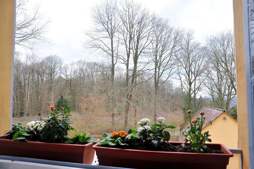 Bed and Breakfast Au Jardin de Lisa Cherreau Exterior foto