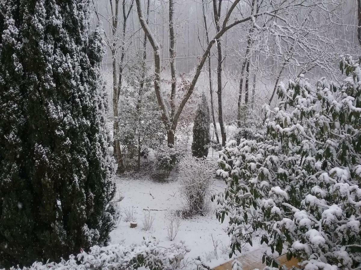 Bed and Breakfast Au Jardin de Lisa Cherreau Exterior foto